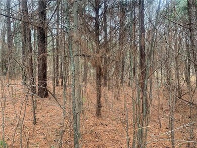 00000 Three Bridge Rd, Powhatan, VA 23139 - photo 5