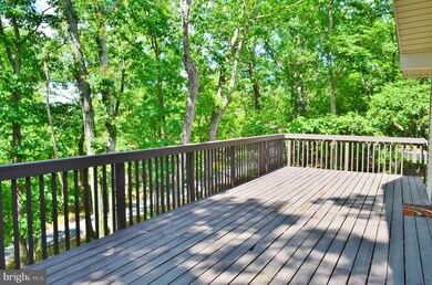 54 Leigh Ct, Basye, VA 22810 - photo 5