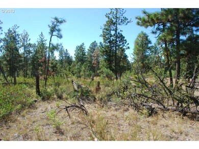 0 Pine Creek Rd unit 3 12336471, Bickleton, WA 99322 - photo 5