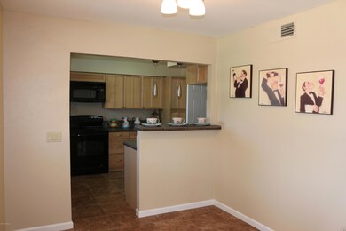 867 W Shannon St, Chandler, AZ 85225 - photo 6