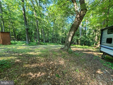 2505 High Knob Rd, Old Fields, WV 26845 - photo 7