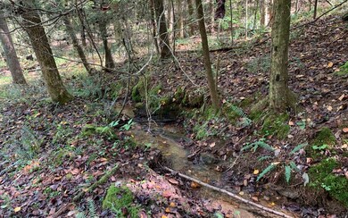 0 Flat Branch Rd unit 311525, Ellijay, GA 30540 - photo 3