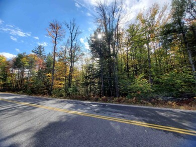 0 Windsor Rd unit 9 4887482, Hillsborough, NH 03244 - photo 4