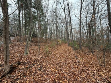 0 Rosenkranz Ln unit 420573, Hiawassee, NC 28904 - photo 3