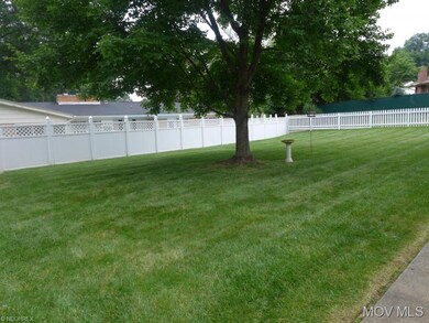 Lovely Backyard