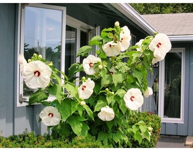 15 Bradford Rd, Framingham, MA 01701 - photo 2