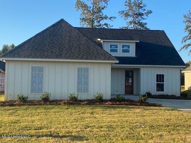 217 Herons Bay Cir, Madison, MS 39110 - photo 4