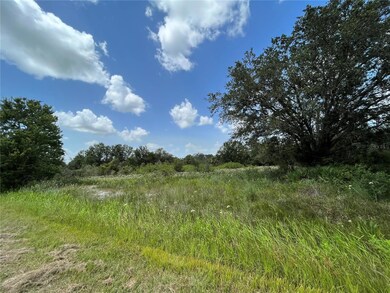 17915 NW 290th St, Okeechobee, FL 34972 - photo 7