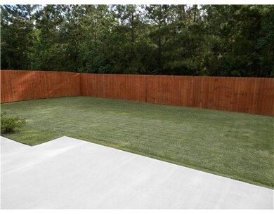 Backyard.