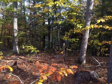 46acres Acton Ridge Rd, Acton, ME 04001 - photo 3