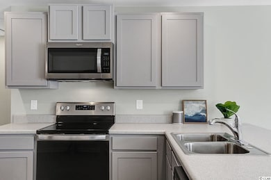 300 Spruce Pine Way unit Lot 154- Macon A, Conway, SC 29526 - photo 6