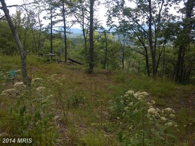 0 Bald Eagle Ln unit 1003177570, Great Cacapon, WV 25422 - photo 4