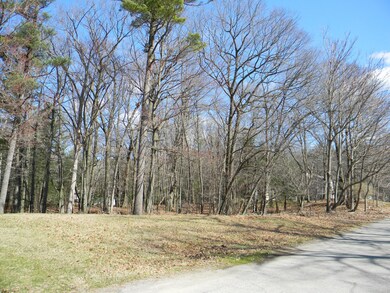 Buildable Lots