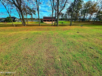 7 Yazoo Pass Dr, Dundee, MS 38626 - photo 4