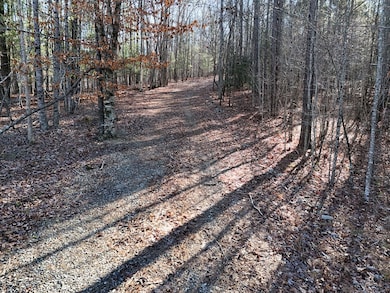 Tract D Carriage Ln, Blairsville, GA 30512 - photo 3