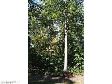 115 Trillium Dr, Statesville, NC 28625 - photo 3