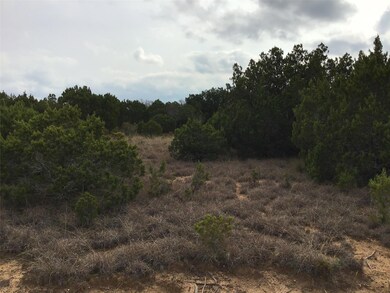 33057 Greenhill Dr, Whitney, TX 76692 - photo 7