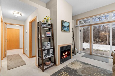 10765 Tamarack Cir NW, Coon Rapids, MN 55433 - photo 6