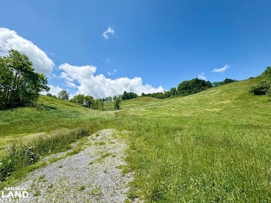 0 Horne Hollow Rd Tract B, Sugar Grove, VA 24375 - photo 3