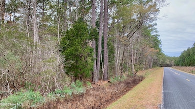 0 Bell Point Rd, Merritt, NC 28556 - photo 2