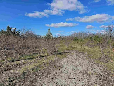 1715 Ellinger Rd, Alanson, MI 49706 - photo 4