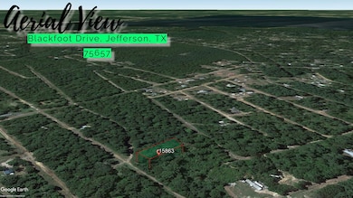 Blackfoot Dr unit Jefferson TX 75657, Jefferson, TX 75657 - photo 3