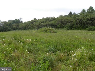 770 Fairview Rd, Mount Joy, PA 17552 - photo 4