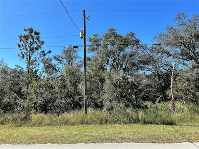 0 Woodstork Way unit MFRL4957348, Frostproof, FL 33843 - photo 6