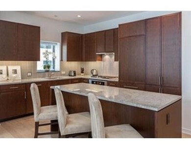 Millenium Place unit 808, Boston, MA 02111 - photo 3