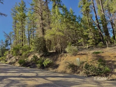 920 Chrome Mine, Hayfork, CA 96041 - photo 5