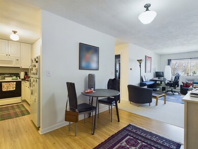 18 Glencoe St unit 36, Brighton, MA 02135 - photo 5