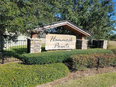 12412 Hammock Pointe Cir, Clermont, FL 34711 - photo 4