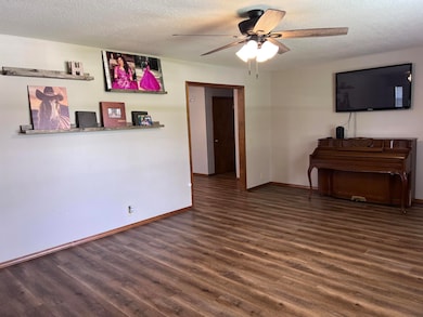 2038 W Trolley Car Ln, Carthage, MO 64836 - photo 7