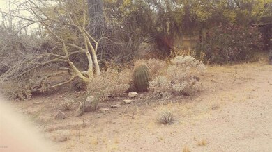 4514 N Wolverine Pass Rd, Apache Junction, AZ 85119 - photo 2