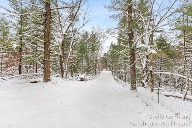 6007 S Cypress Ave, Croton Township, MI 49337 - photo 4