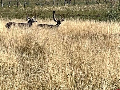 12792 Colorado 145, Dolores, CO 81323 - photo 5