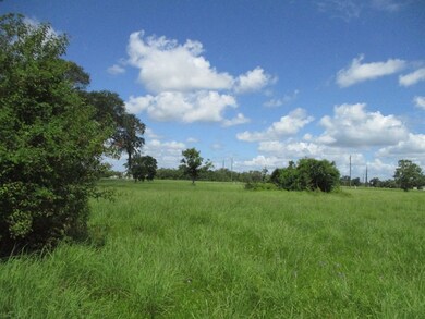 000 Fm 521 Rd, Brazoria, TX 77422 - photo 4