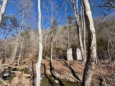 image1 (6)