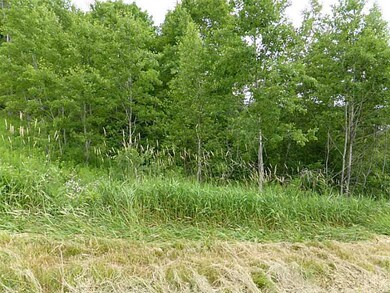 Land/Lot.