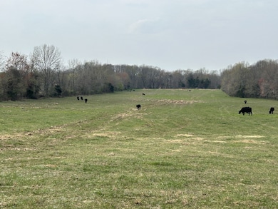 0 Washington Rd unit RTC2634746, Greenbrier, TN 37073 - photo 3