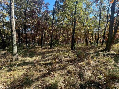 0 210th Ave unit 6322359, Cincinnati, IA 52549 - photo 6