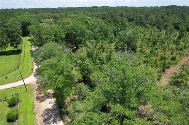 Aerial view of a forest