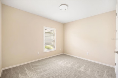 13330 Palmera Vista Dr, Riverview, FL 33579 - photo 5