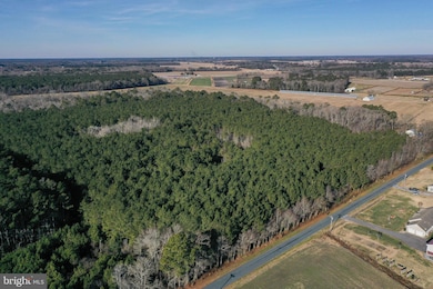 0 Bent Pine Rd unit MDWC2020984, Willards, MD 21874 - photo 2