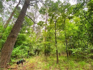 0000 Sugarberry Trail, Hochatown, OK 74728 - photo 6