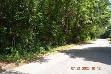 310 Wright Rd, Phenix City, AL 36869 - photo 4