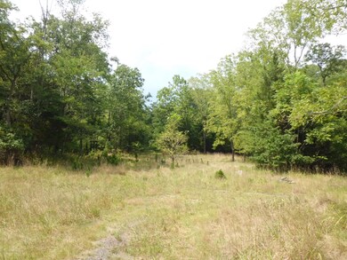 65 Squankum Rd, Colts Neck, NJ 07722 - photo 4