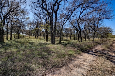 Lot 195 Grand Harbor Blvd, Chico, TX 76431 - photo 4