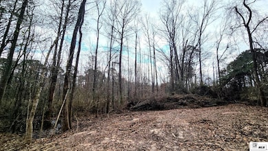 0 Highway 80 unit 213443, West Monroe, LA 71291 - photo 2