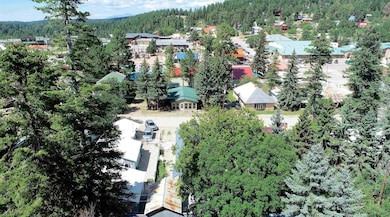 204 Squirrel Ave unit 12,13, Cloudcroft, NM 88317 - photo 5